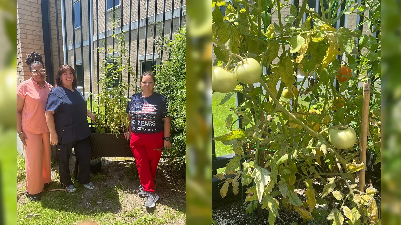 From dirt to dignity: How a nurse’s garden became a path to healing – VA News (.gov)