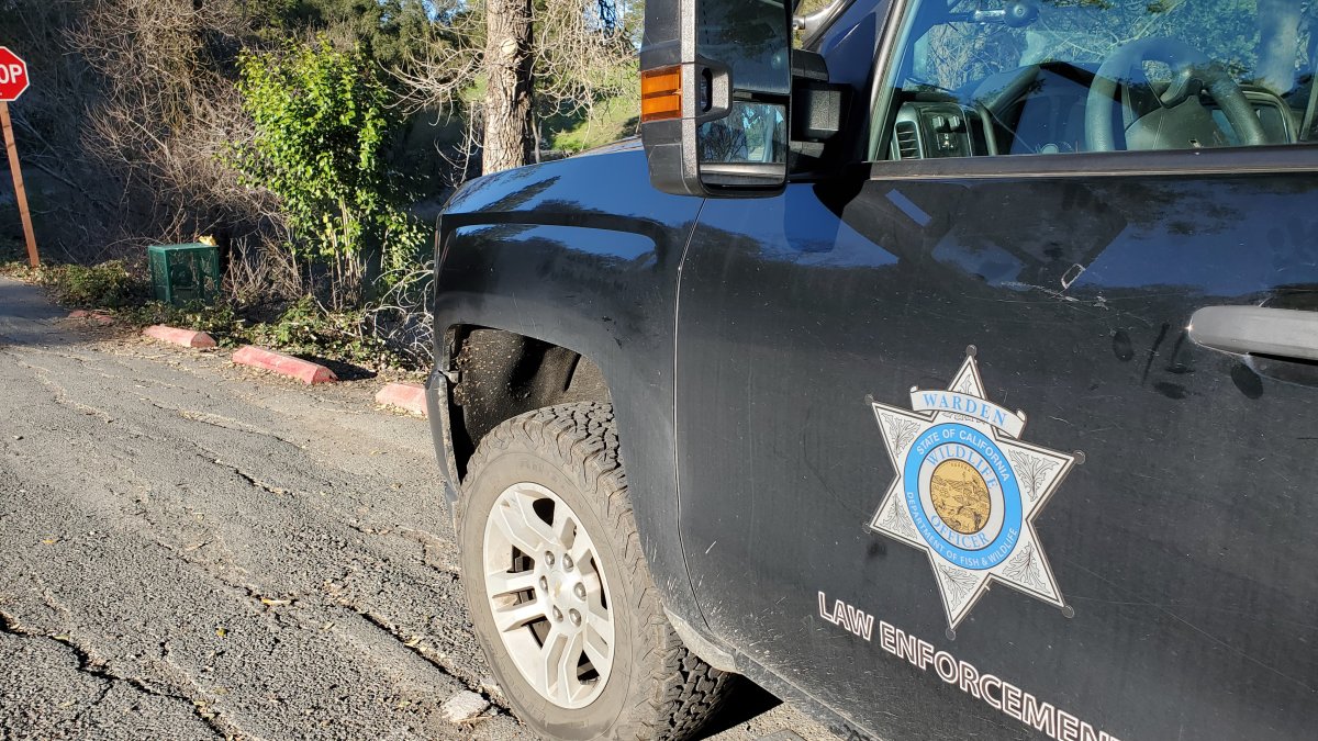 Coyote euthanized after toddler injured in Atwater Village, CDFW says – NBC Los Angeles