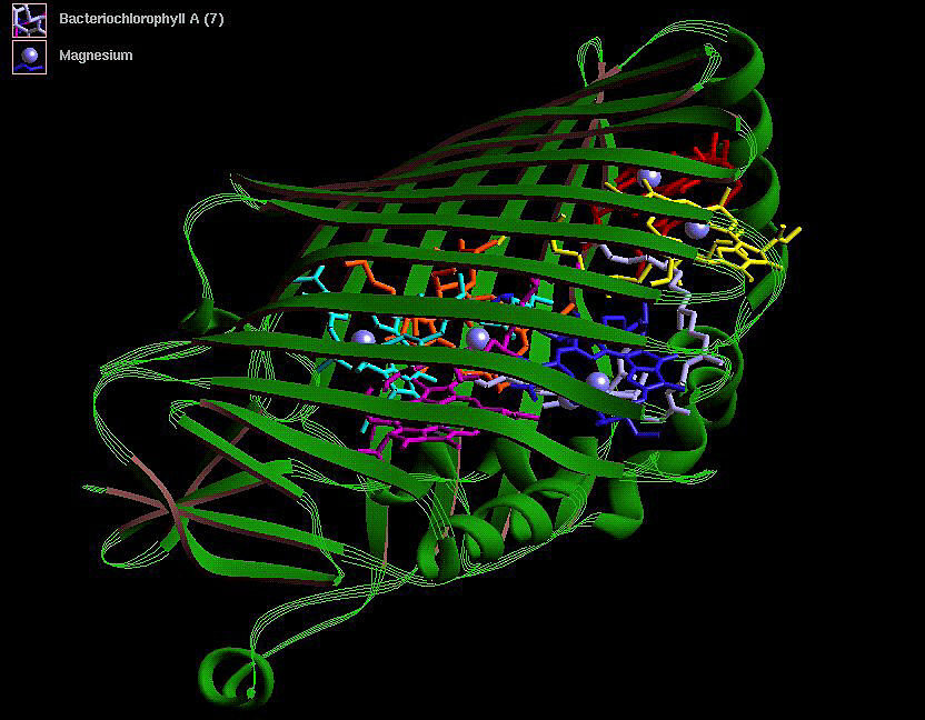 Vibe genes? Natural(ish) language comes to protein, genome design software