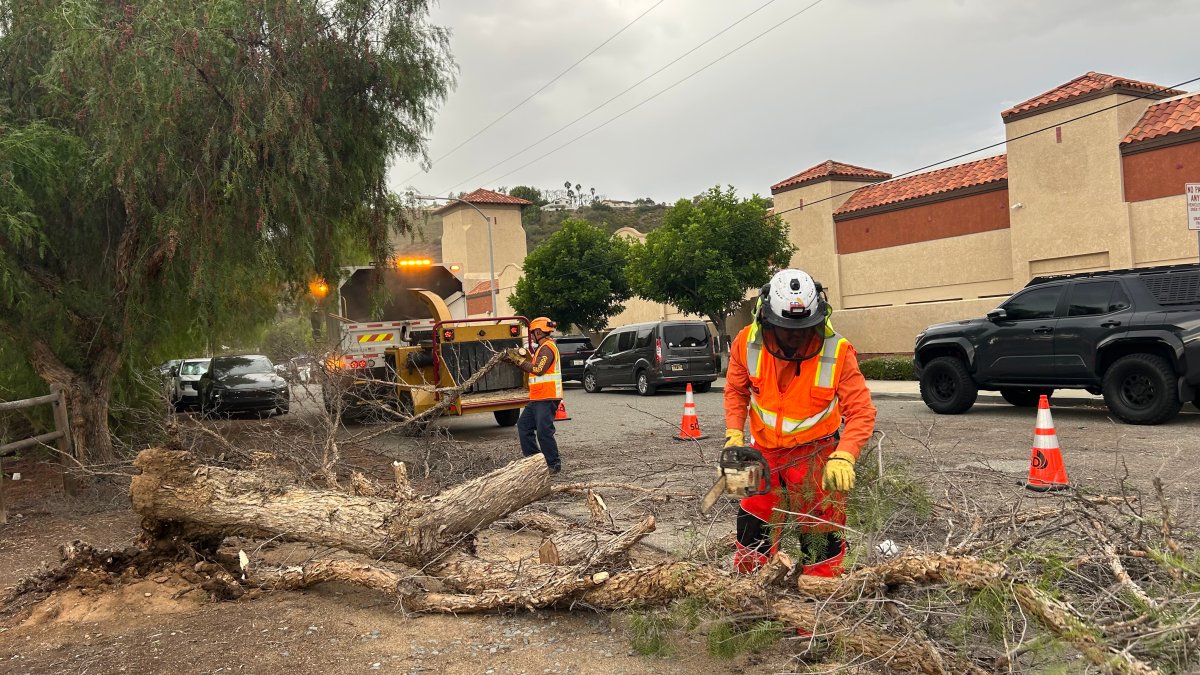 Santa Ana winds leave damage and disruption from San Diego's canyons to coast – NBC 7 San Diego
