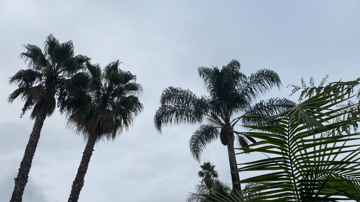 Discontinued Tropical Storm Watch for San Diego County – NBC 7 San Diego