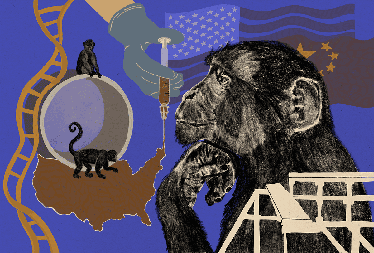 U.S. national primate research centers face an uncertain future – The Transmitter: Neuroscience News and Perspectives