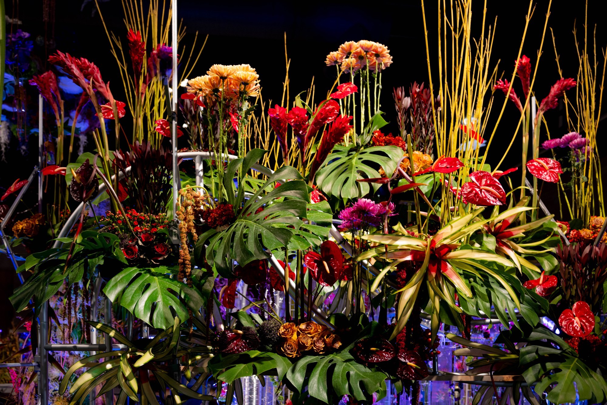 Philadelphia Flower Show 2027 theme announced – Reading Eagle