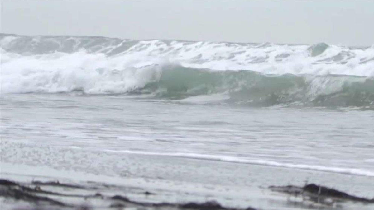 Tropical storm Rachel could bring rain, high surf to San Diego this weekend – NBC 7 San Diego