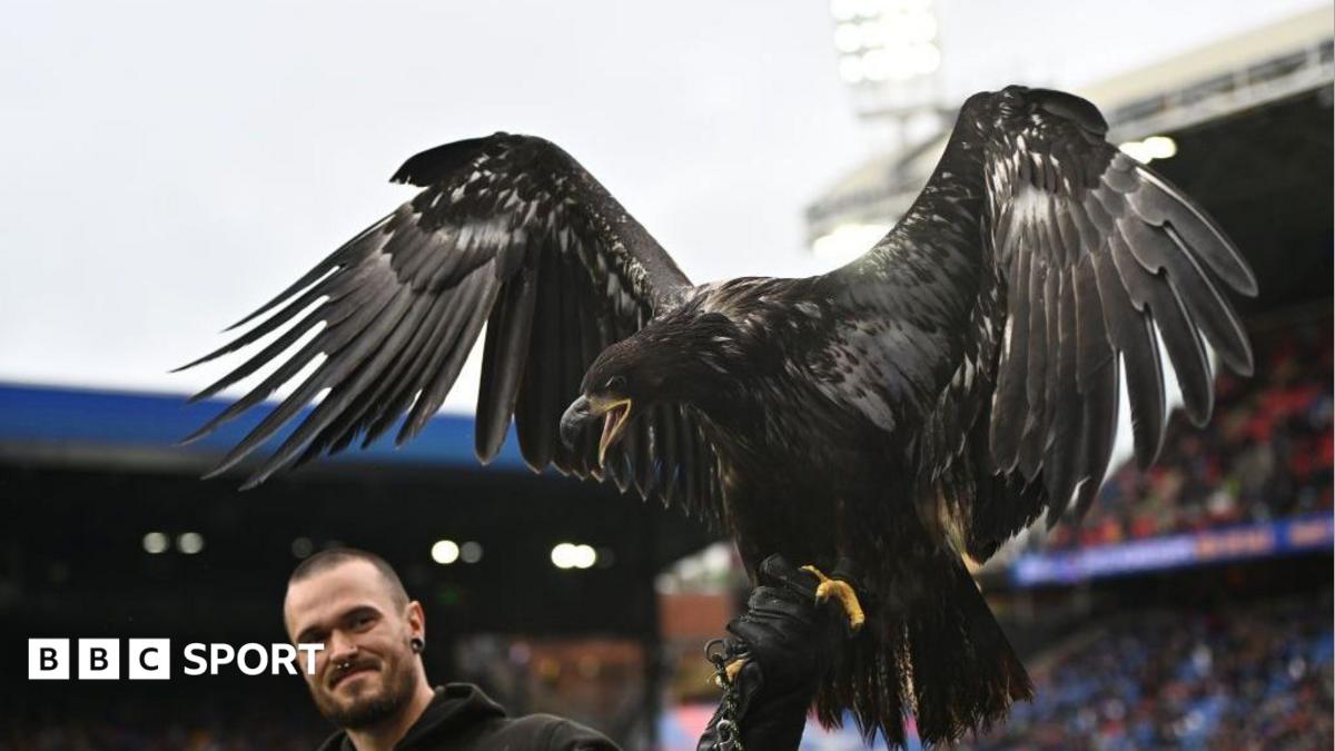 Crystal Palace urged to retire bald eagle mascot