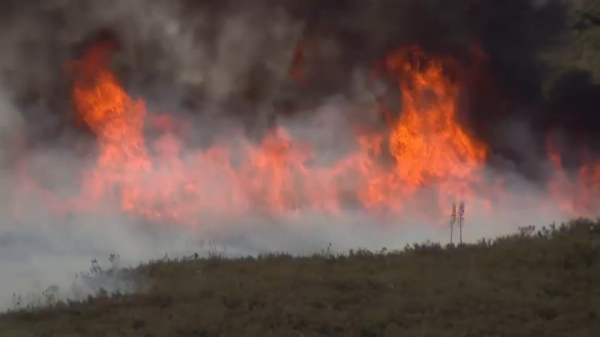 Evacuation orders, warnings in effect for 1,044-acre wildfire near Santa Clarita – NBC Los Angeles