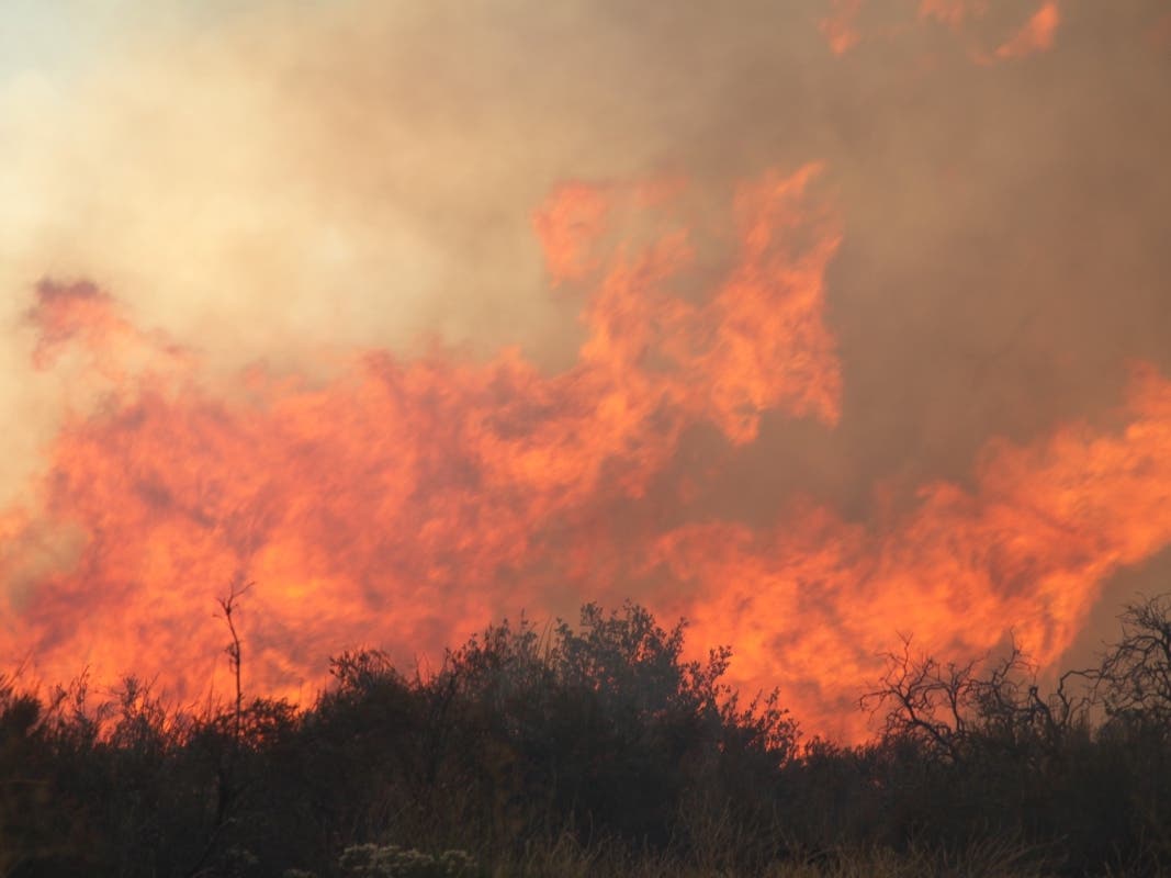 Firefighters Battle 2,080-Acre Camp Pendleton Vegetation Blaze – Patch
