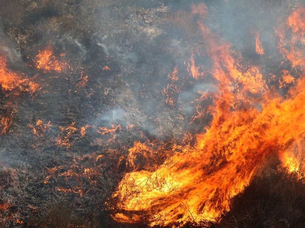 Prescribed Burns Planned Across Cleveland National Forest – Patch