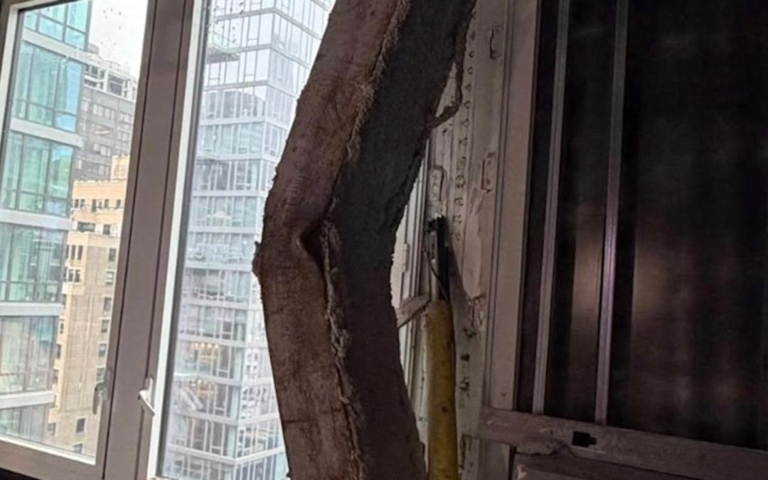 Midtown Manhattan buildings evacuated after beams found buckling at construction site: Police – ABC News – Breaking News, Latest News and Videos