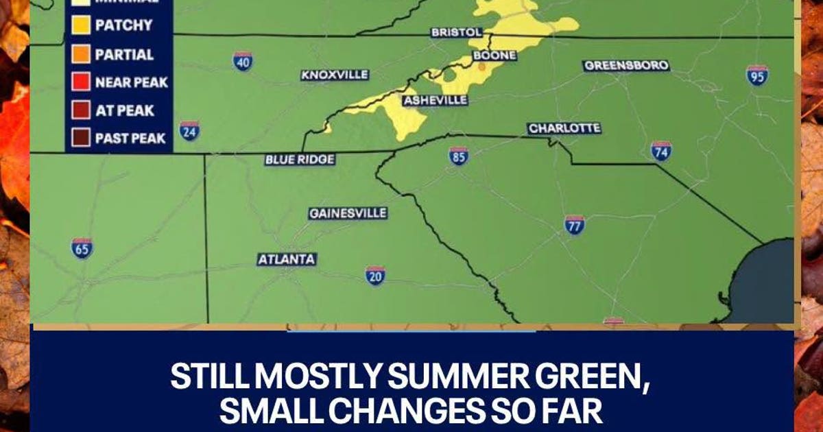 Georgia leaf watch: First fall colors peek through the green – FOX 5 Atlanta