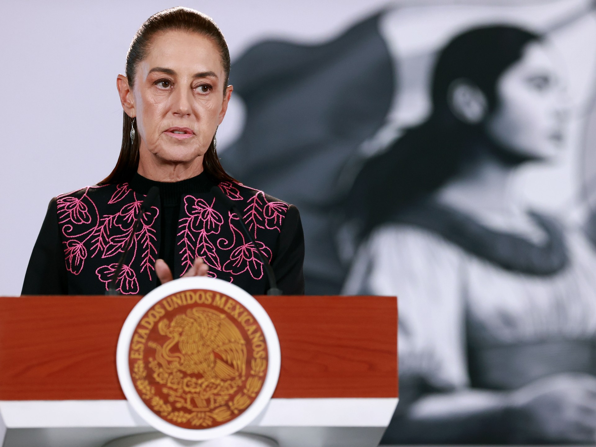 Mexico seeks evidence of border shooting that prompted US troop deployment – aljazeera.com