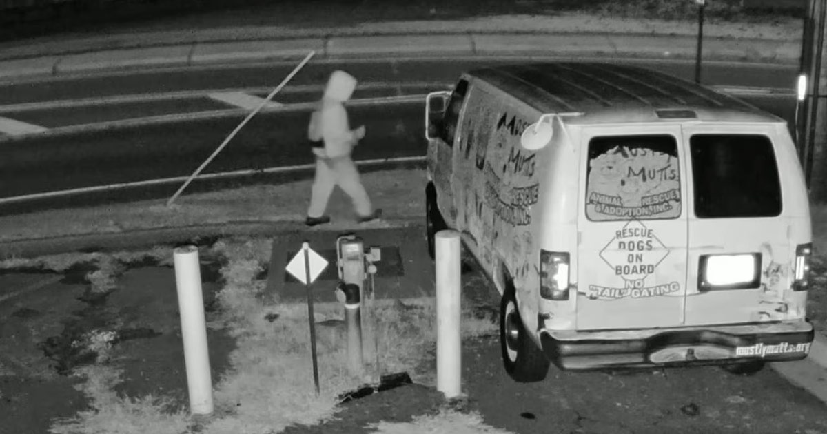 Kennesaw animal rescue van vandalized – FOX 5 Atlanta