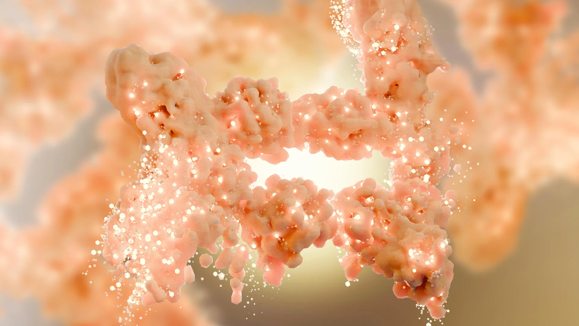 Scientists discover a hidden switch that burns fat and blocks new fat cells