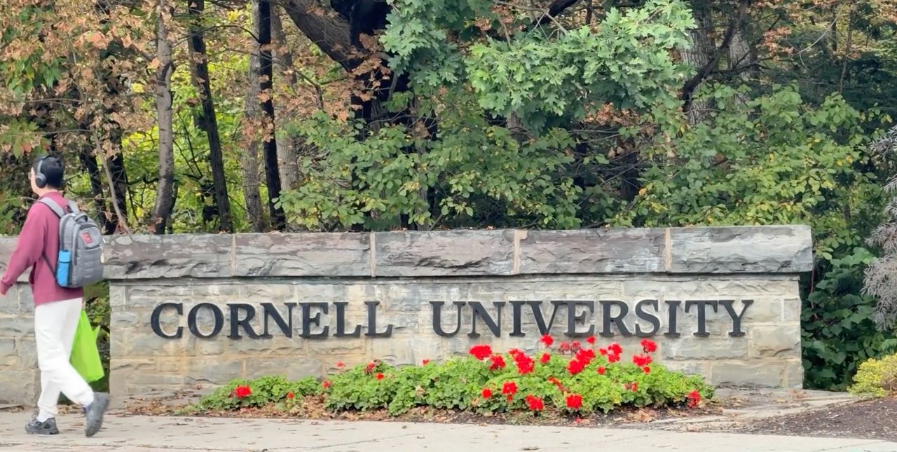 Cornell rape lawsuit highlights strain on New York sexual assault crisis centers – Spectrum News