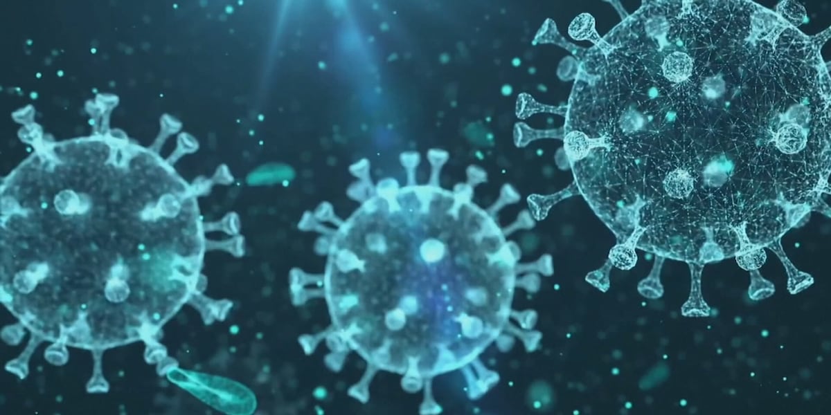 Colorado confirms pediatric flu death as cases rise early this season – KKTV