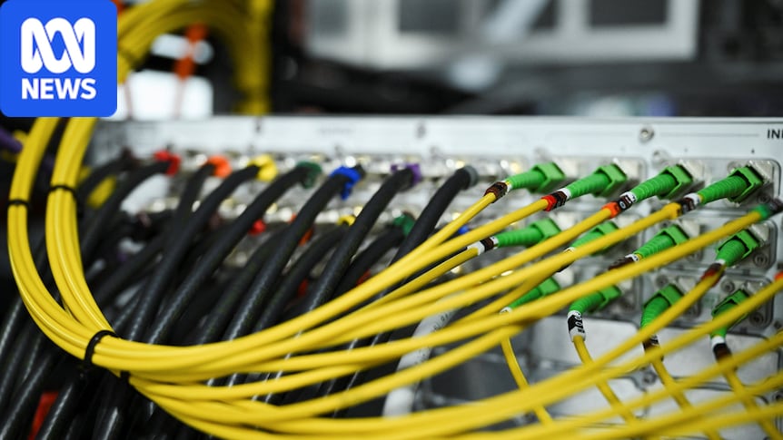 Australian government sites among those exposed to 'critical' software flaw – ABC News & Headlines – Australian Broadcasting Corporation