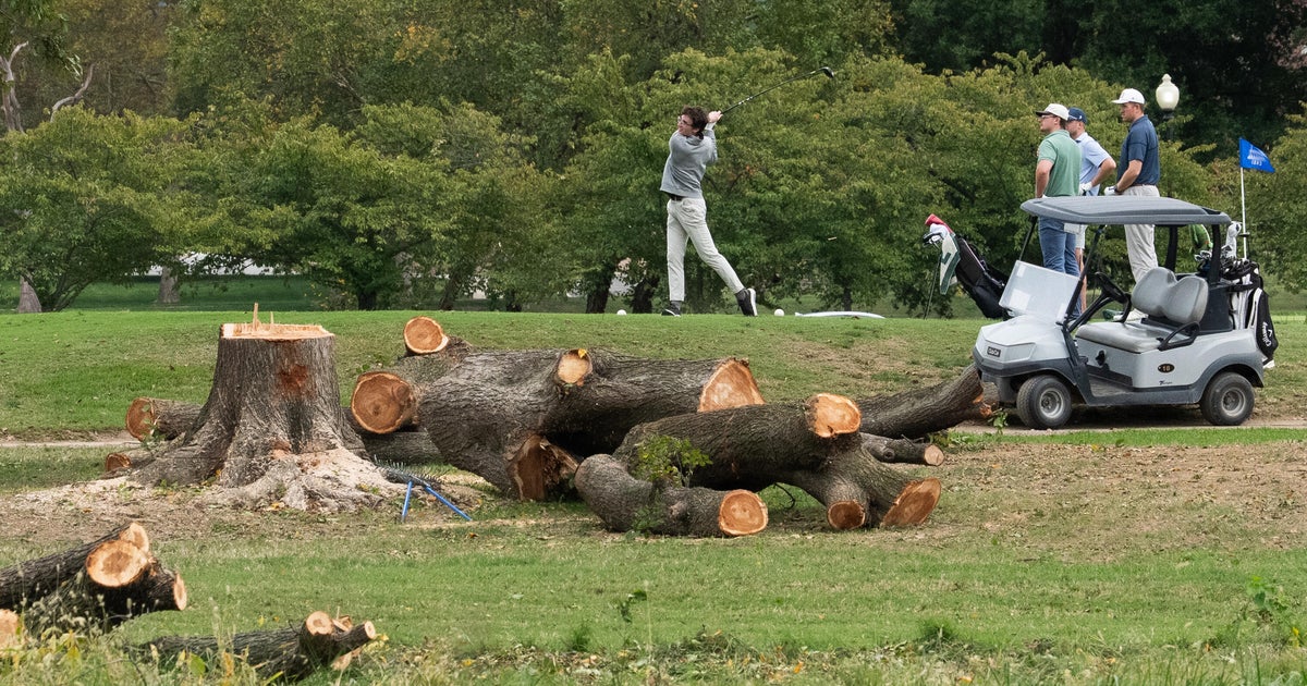 Judge blocks Trump admin. from felling trees at D.C. golf course