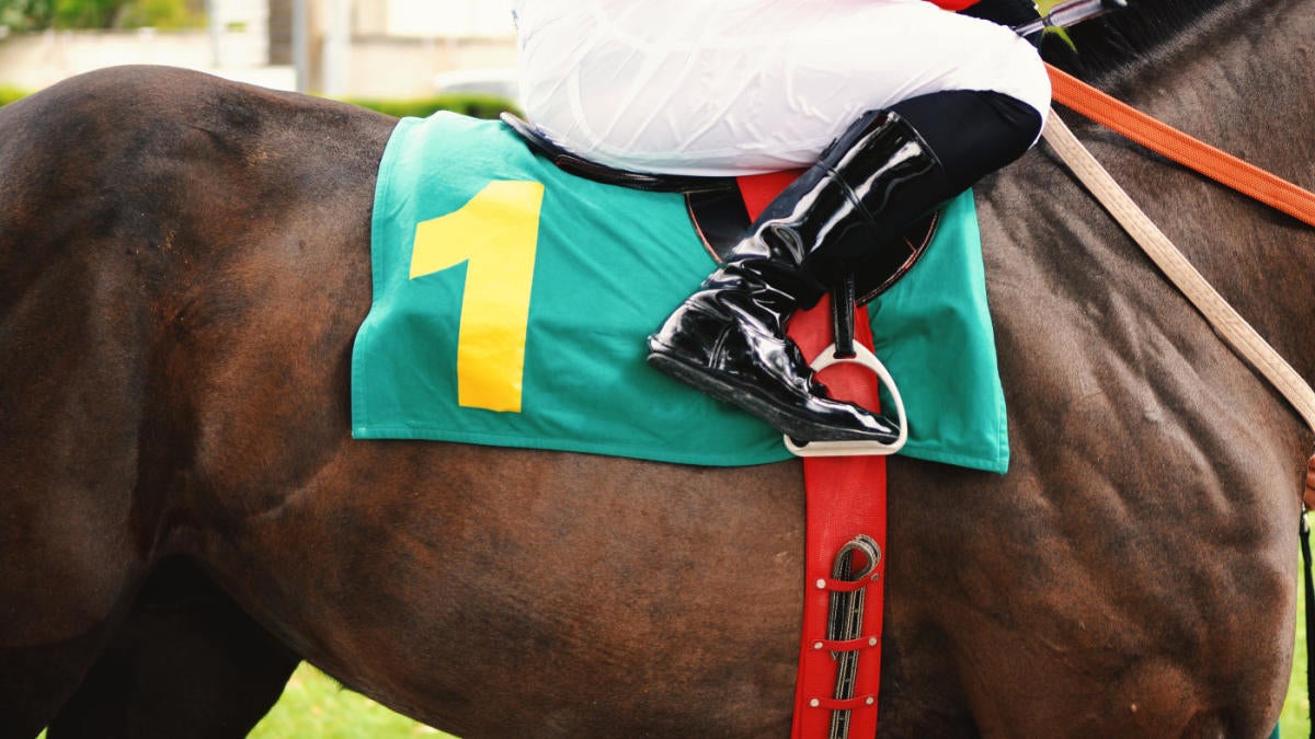FanDuel Racing promo code: Get $25 racing bonus for Breeders' Cup online betting