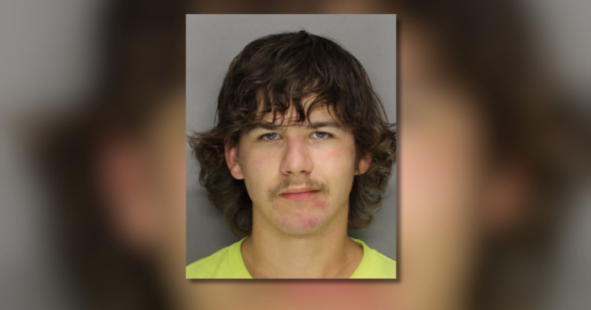 20-year-old accused of damaging 2 Flock cameras at metro Atlanta park – WSB-TV