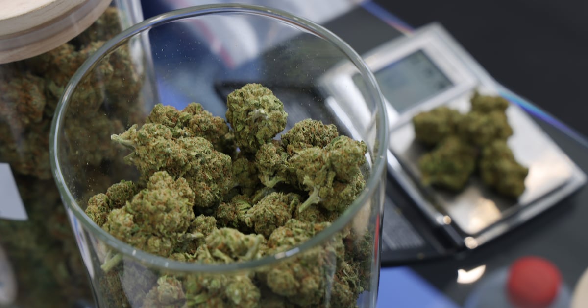 Medical marijuana delivery in Georgia could start before November – WSB-TV