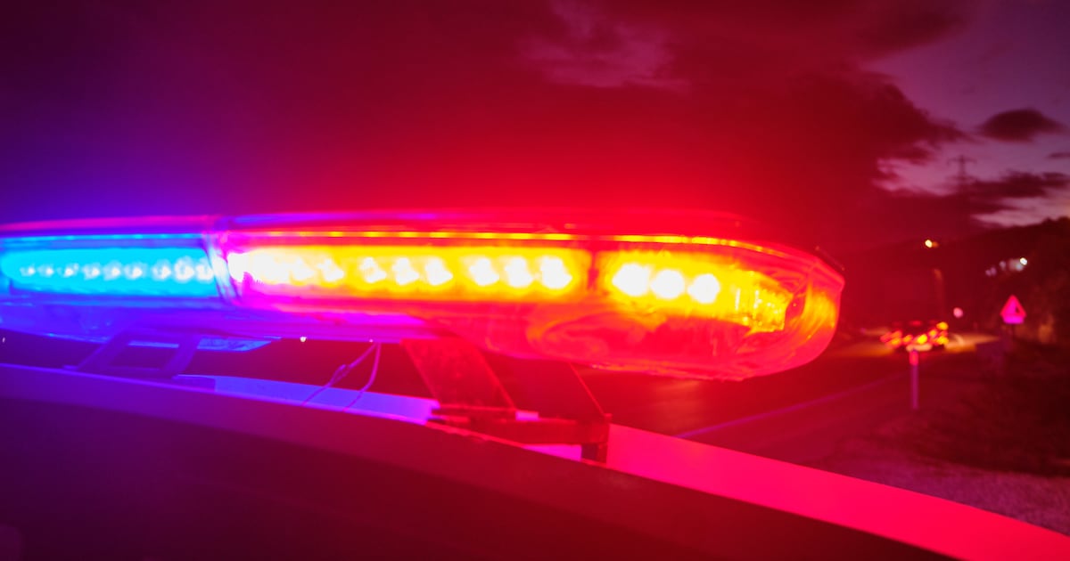 4 people injured in north Georgia shooting – WSB-TV