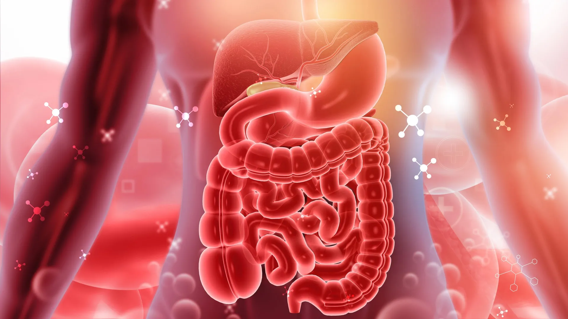 Scientists solve a 30-year mystery behind inflammatory bowel disease