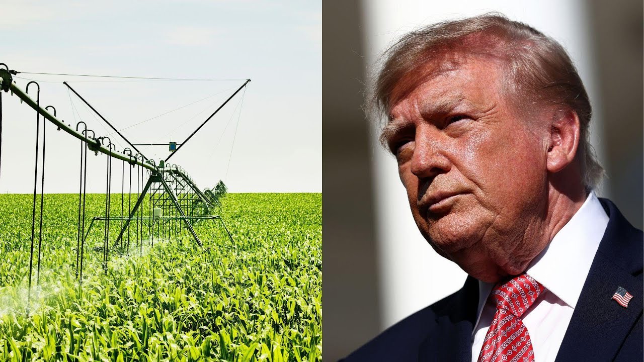 Trump announces $8 billion relief money for farmers but their huge economic concerns linger