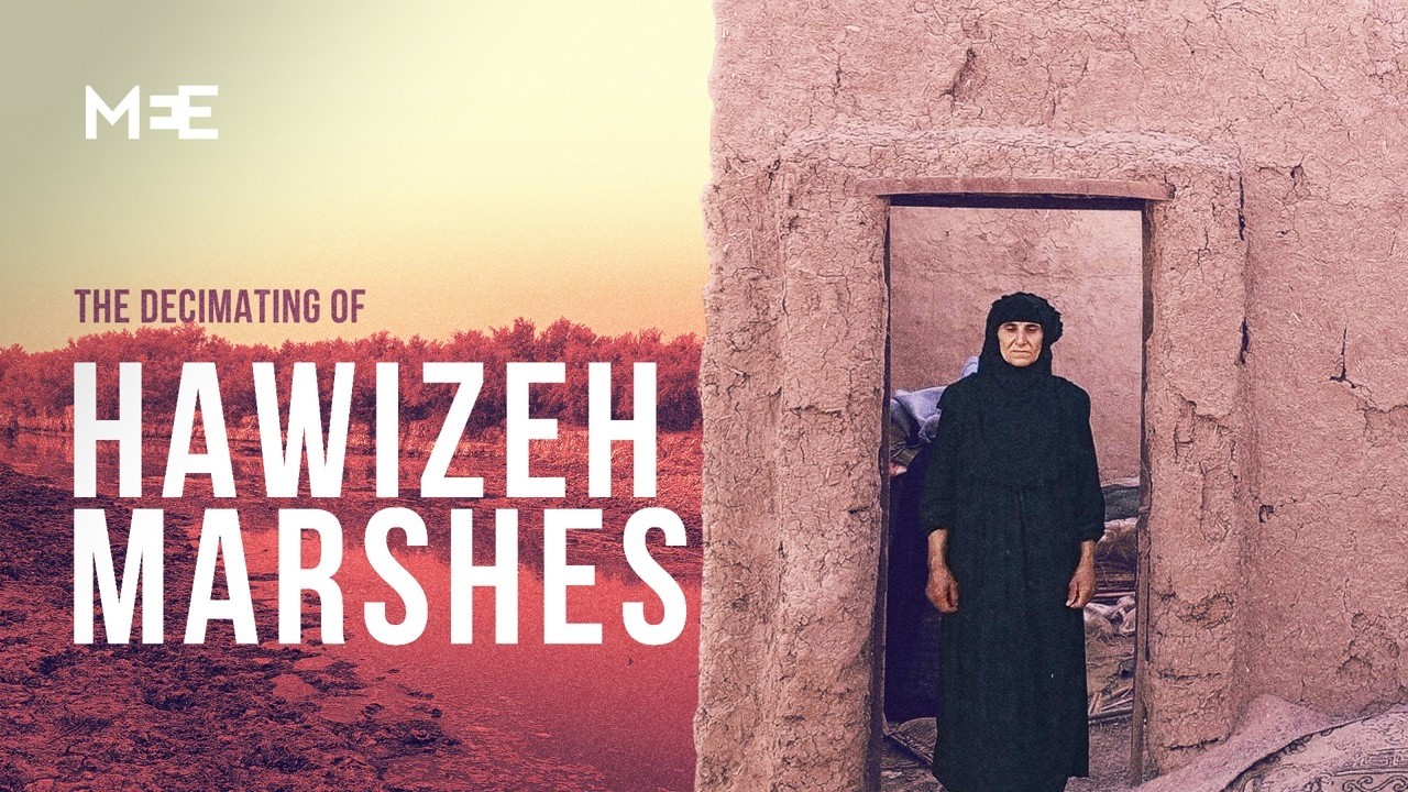 The decimation of Iraq’s Hawizeh Marshes