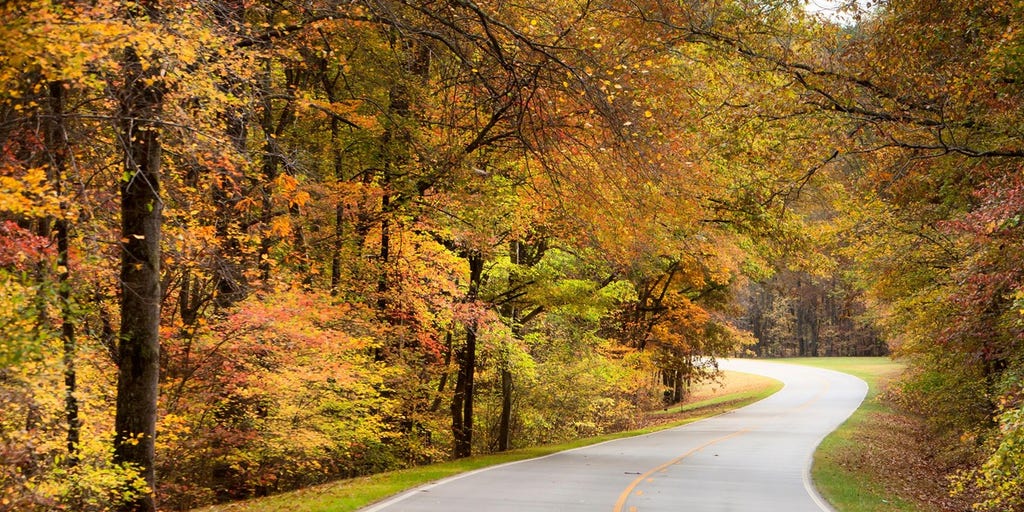 List reveals 5 US National Parks worth visiting with picture-perfect views of fall foliage and scenic hikes – FOX Weather
