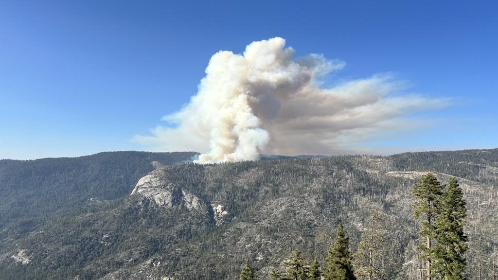 Two Firefighters Died in Yosemite—For What?