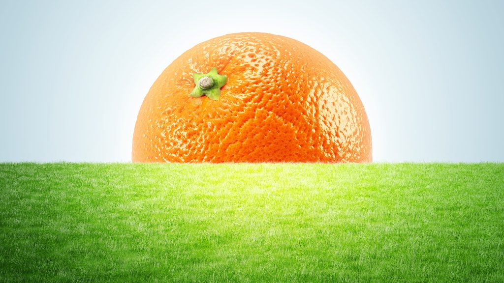 The New Food Movement