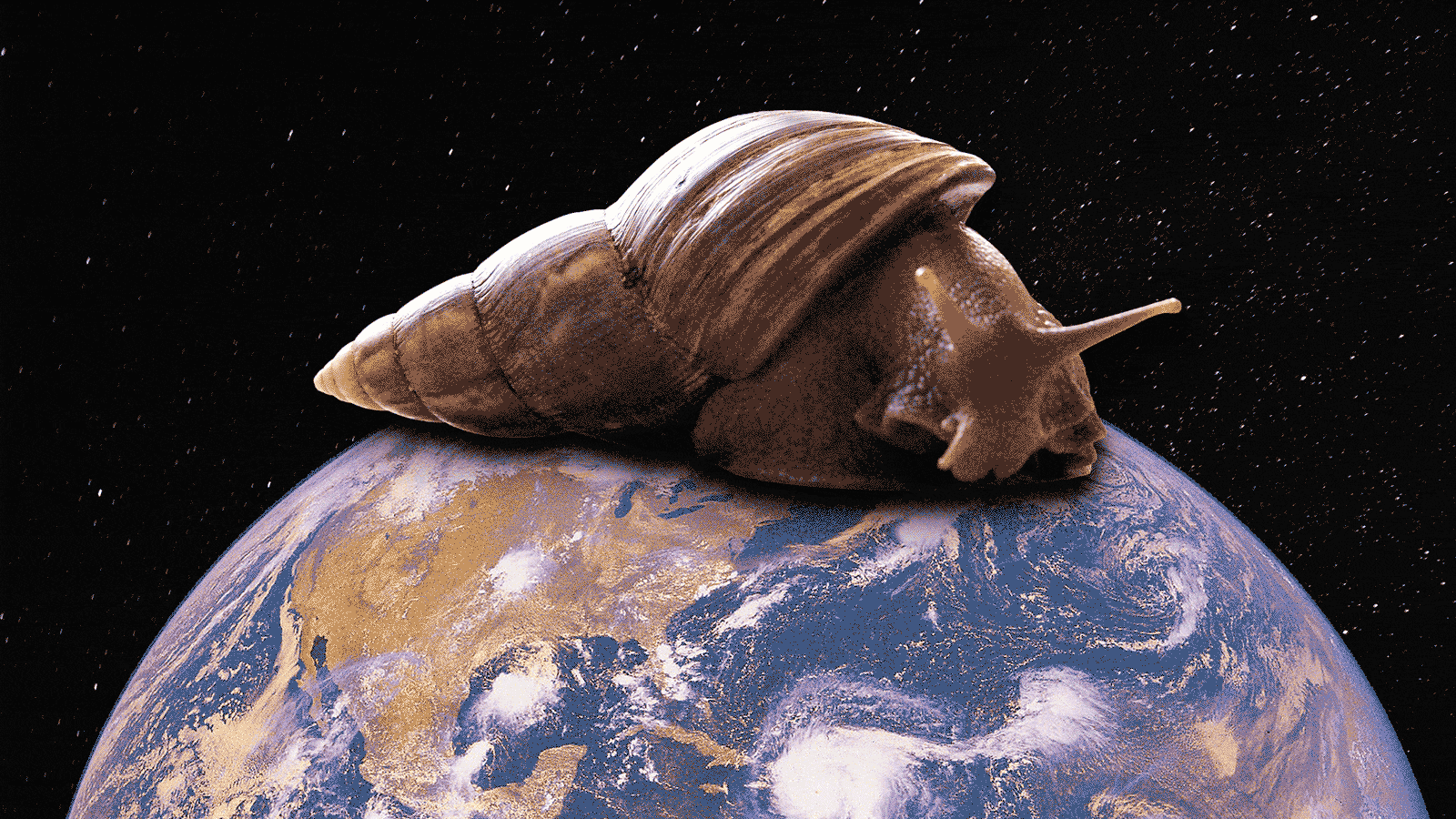 Nine-Inch Snails