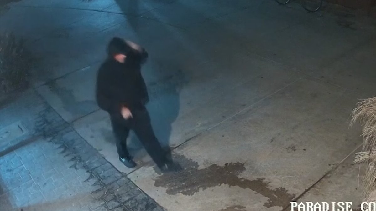 Tips sought in fatal shooting of security guard at Crystal Pier in Pacific Beach – NBC 7 San Diego