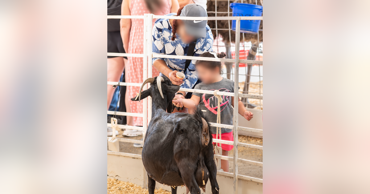 Nine E. coli cases in Dallas possibly tied to State Fair of Texas petting zoo – FOX 4 News Dallas-Fort Worth