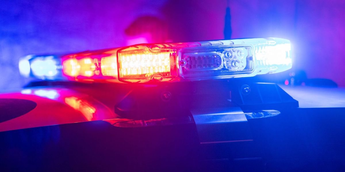 3,000 pounds of frozen snow crab stolen from truck in Southwest Philly – Audacy