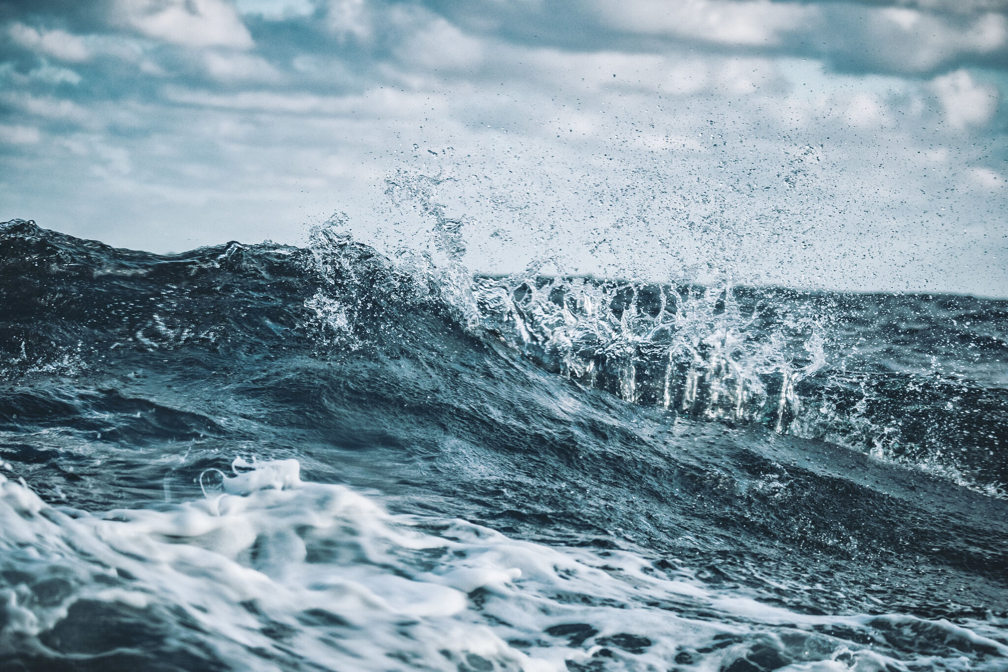 A planetary wave just crept into San Francisco Bay – SFGATE