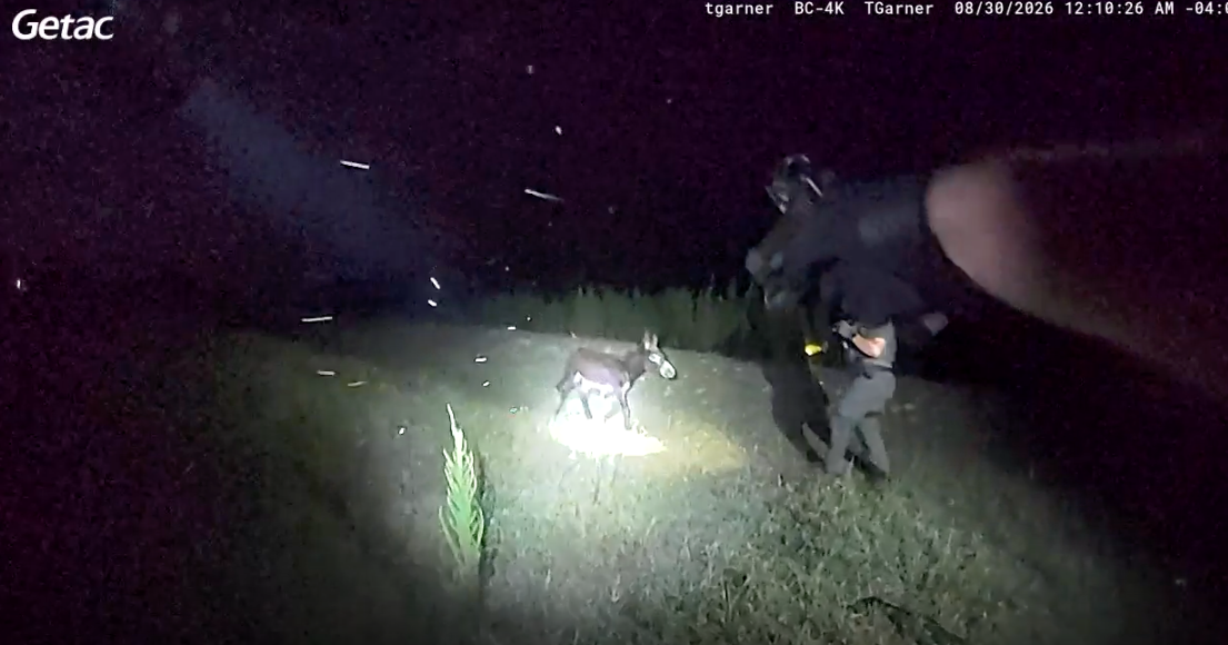 Bodycam video shows Georgia officer shooting beloved donkey HeeHaw during search for missing girl – CBS News