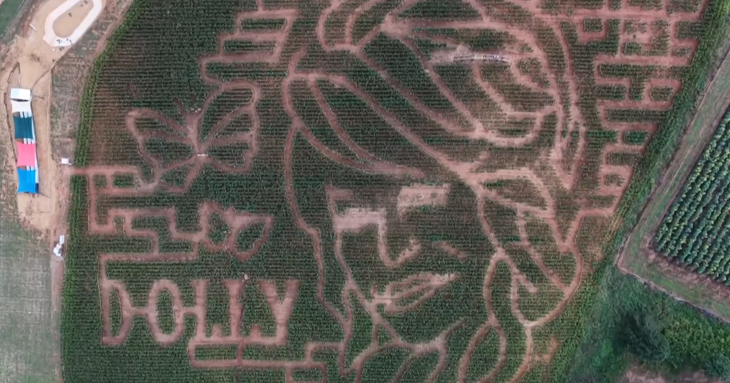 Jaemor Farms creates Dolly Parton-themed corn maze in North Georgia – CBS News