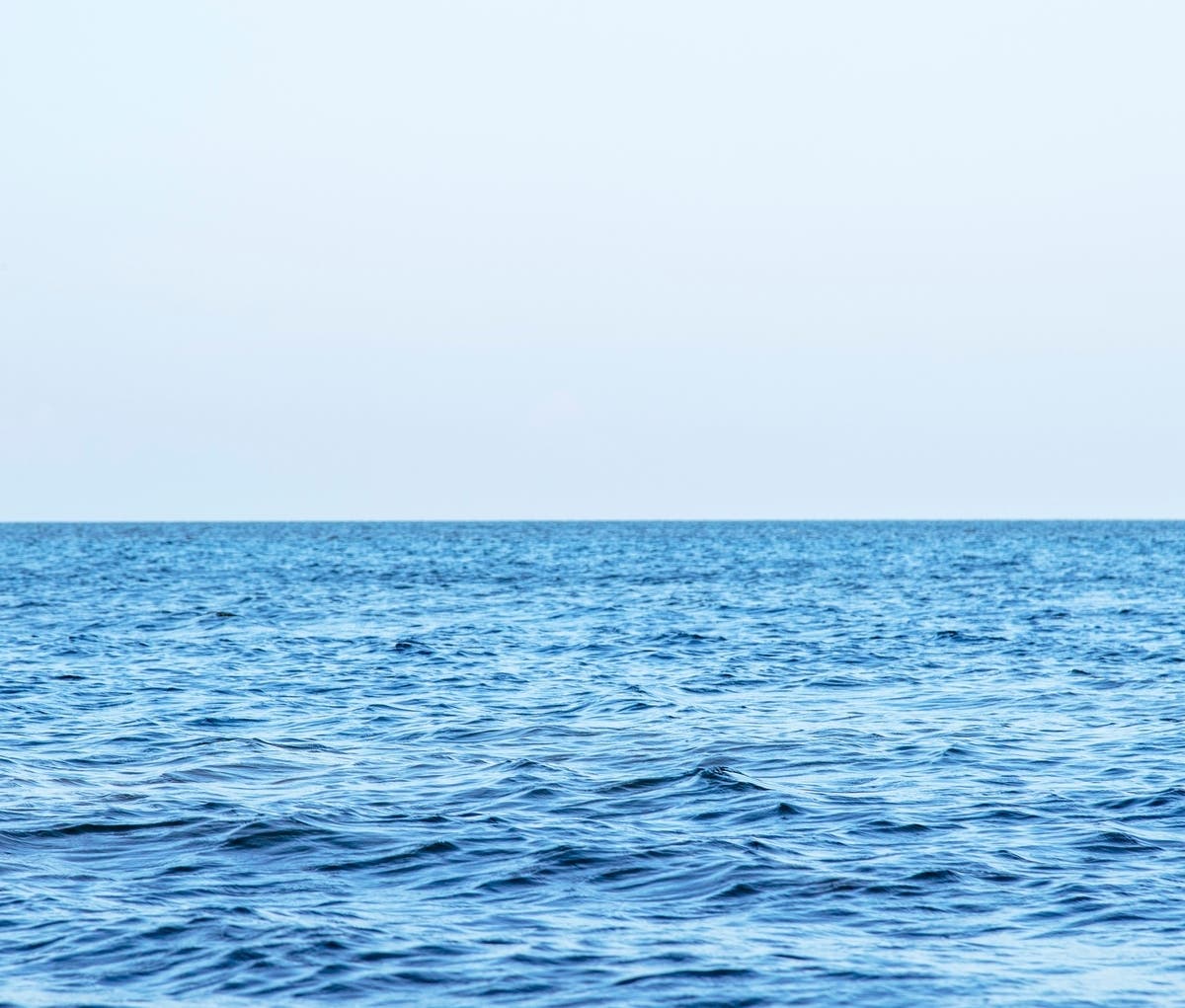 San Diego Man And Nephew, 12, Lost At Sea In Fishing Trip Gone Awry – Patch