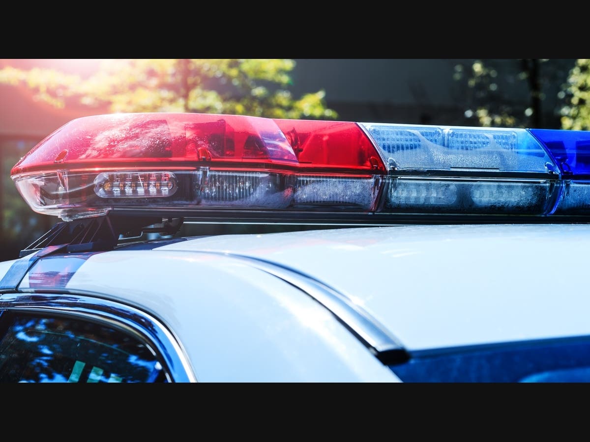 Sheriff Removes 44 Dogs From Bay Area Woman With Previous Animal Cruelty Conviction – Patch