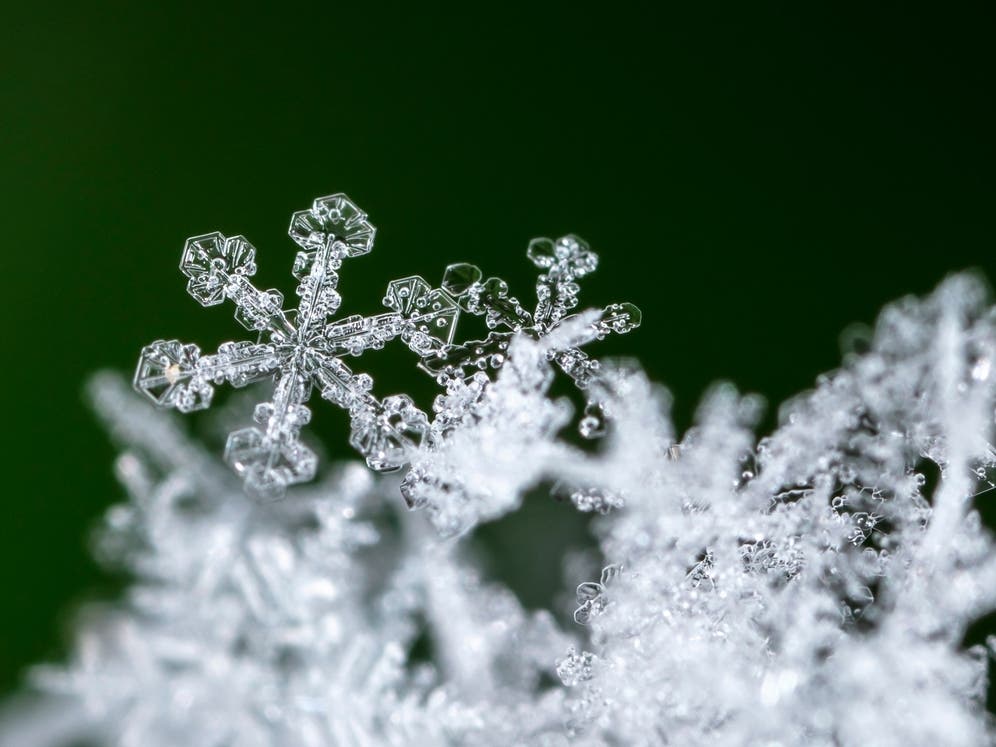 NOAA Releases Winter 2026-2027 Outlook For Chicago Area – Patch