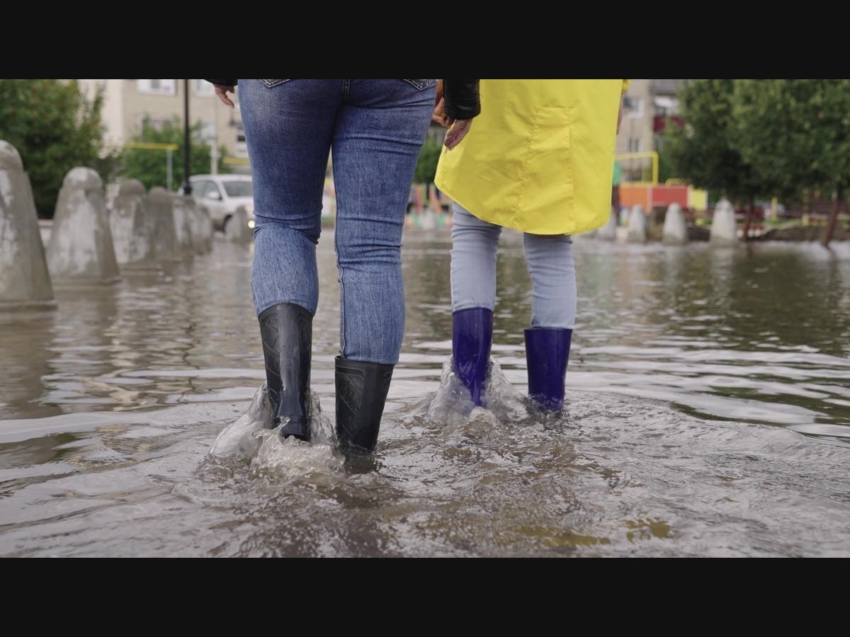 Tidal Flooding Continues To Close Roads Across Marin County: Police – Patch