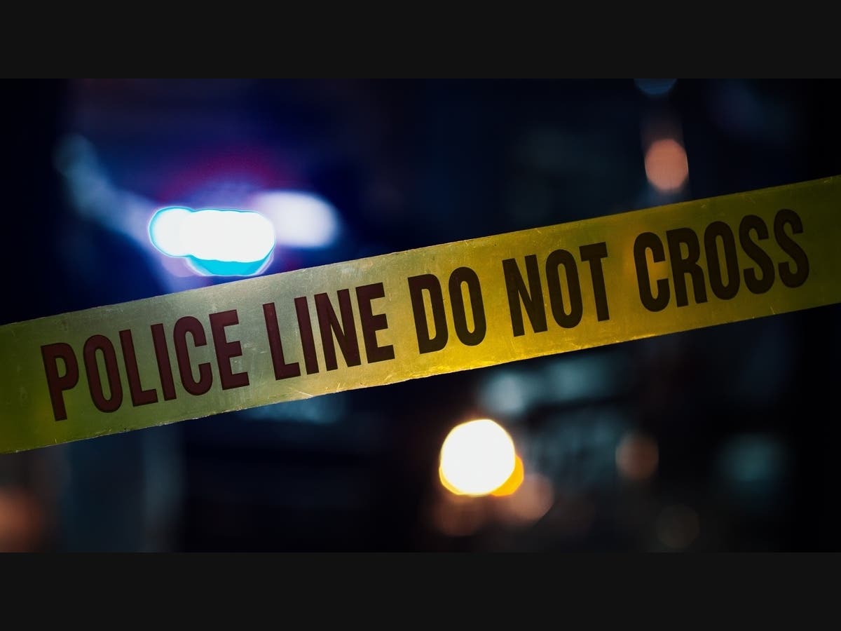 Man Deliberately Using Large Dogs To Attack Others At Oakland Parks: Report – Patch