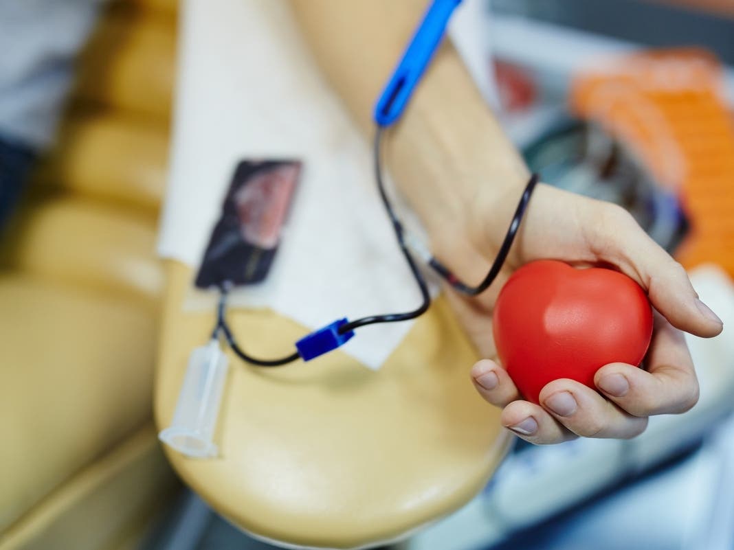 Red Cross Urges Encinitas Residents To Donate Blood This Fall – Patch