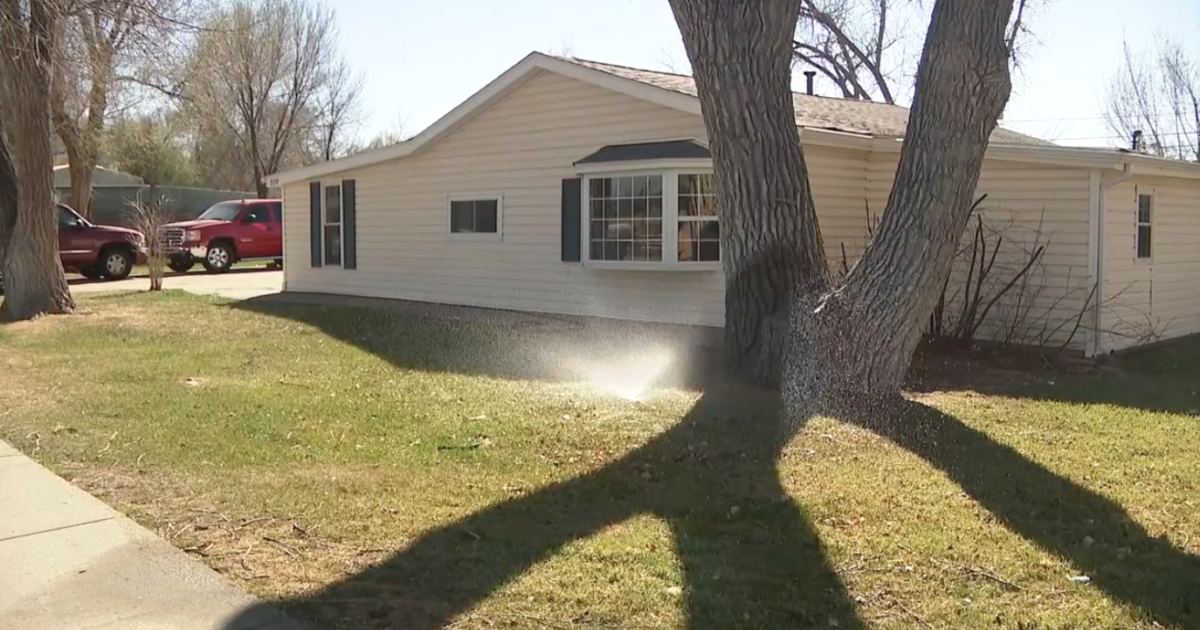 How will Denver Water enforce the ban on lawn watering? – Denver7