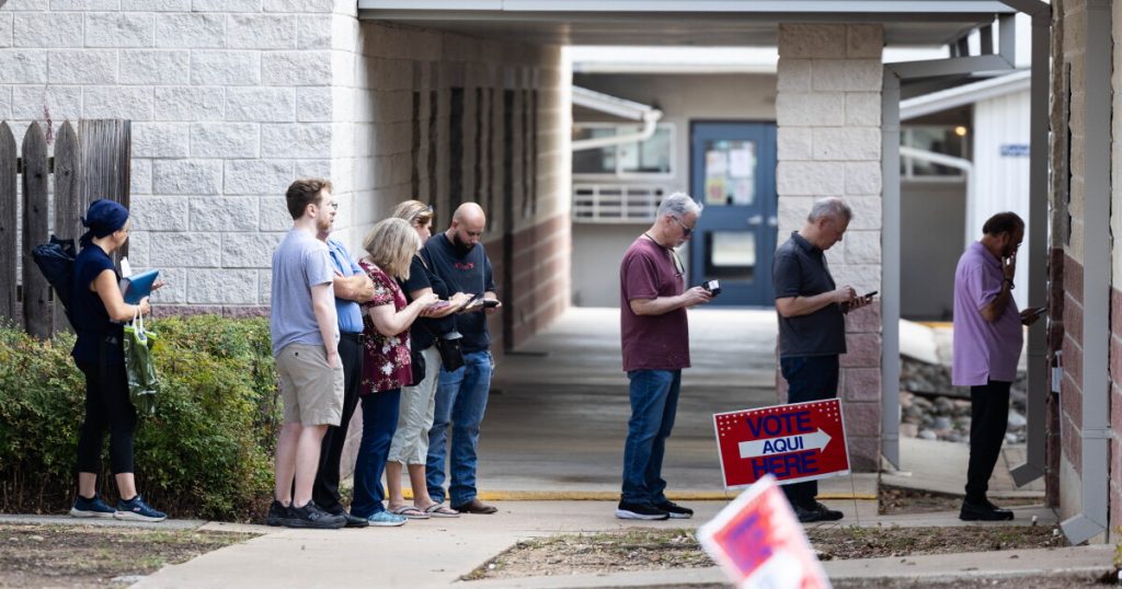 Austin-area voter guide for the Nov. 3 election – KUT