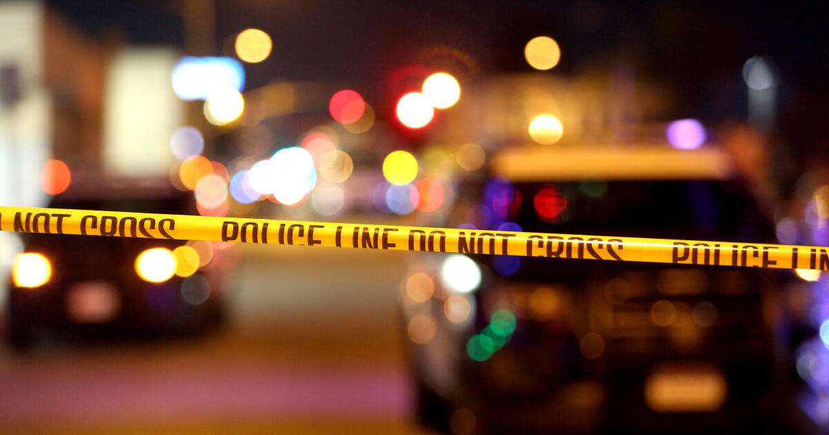 2 children fatally shot reportedly in broad daylight in attempted murder-suicide in Pico-Union – Los Angeles Times