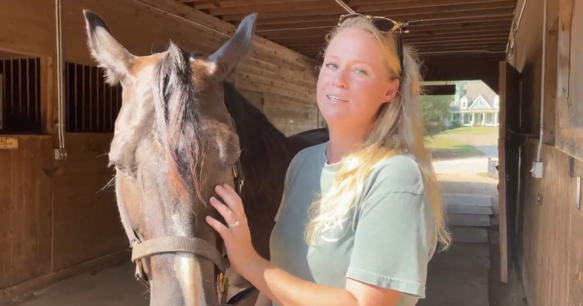 Georgia farm gives wild horses and people a 2nd chance: "It just brings healing to my heart and theirs" – CBS News