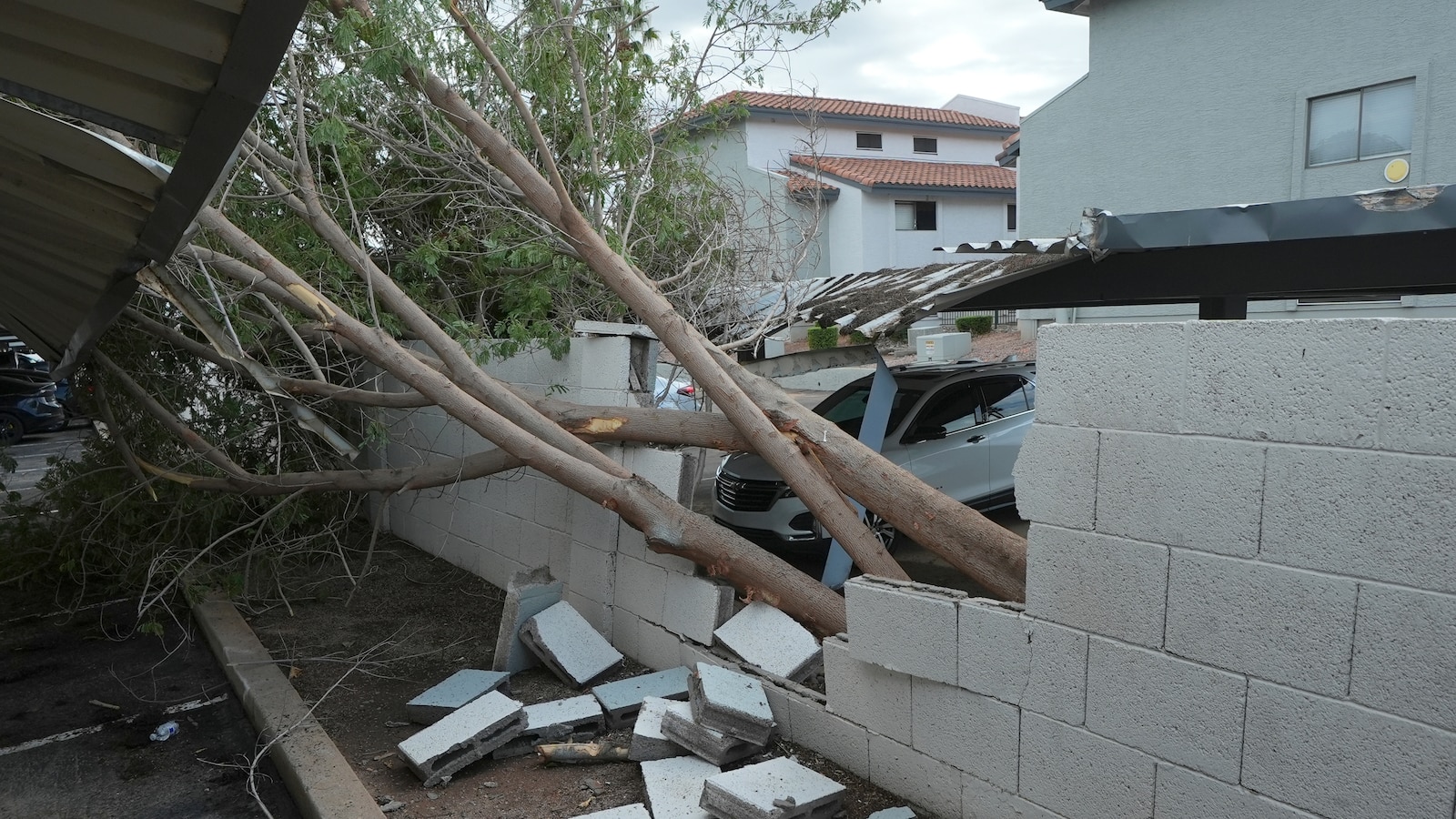 Violent Arizona storms bring possible tornado, toppled trees and golf ball-size hail – ABC News – Breaking News, Latest News and Videos